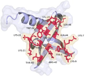 Nanofitins, affinity ligands with competitive features Nanofitins, affinity ligands with competitive features