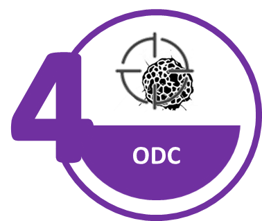 ODC - Affilogic