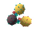 Affilogic fighting infectious diseases