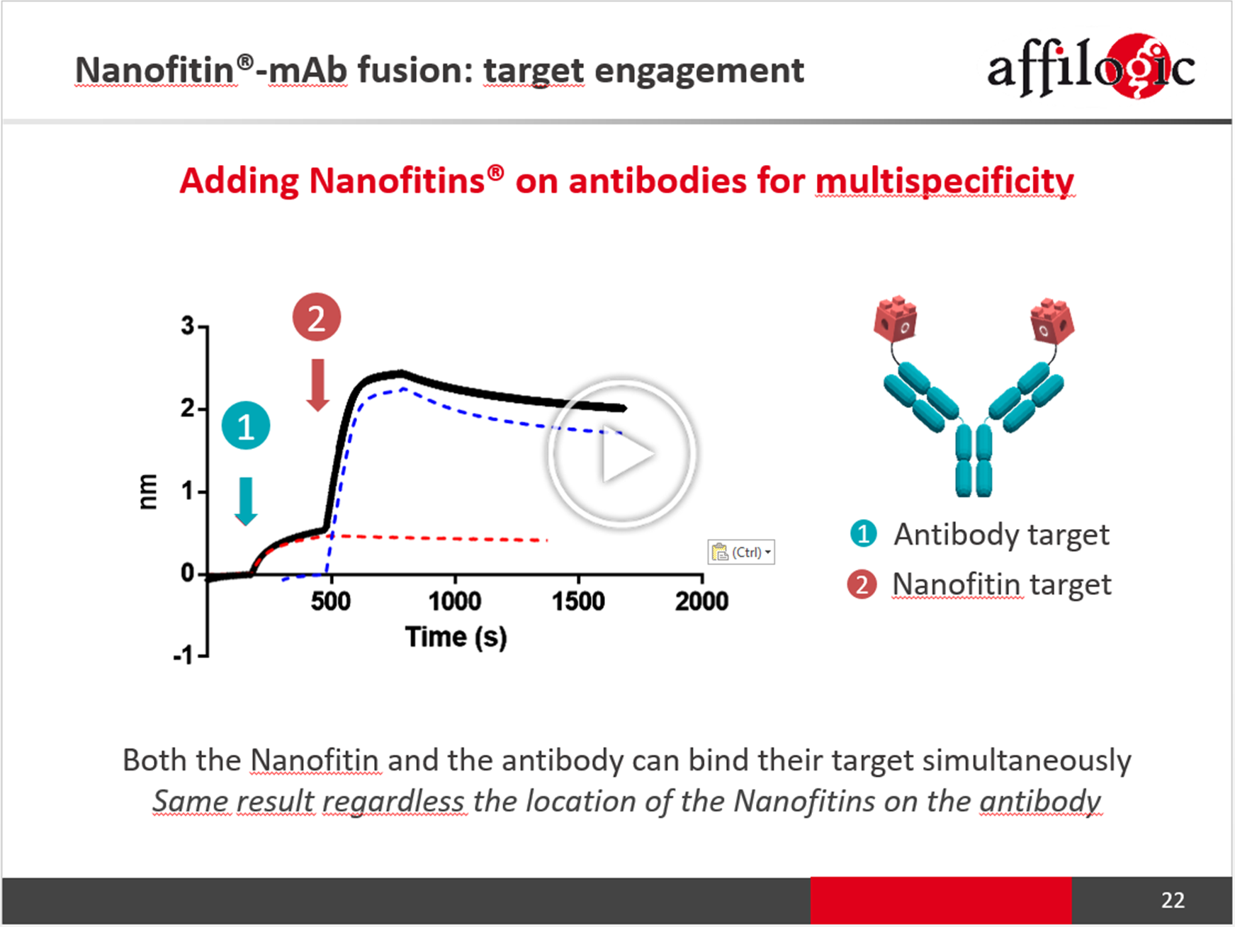 Nanofitin-Antibody fusion as a novel multispecific platform: providing extra specificities while maintaining developability